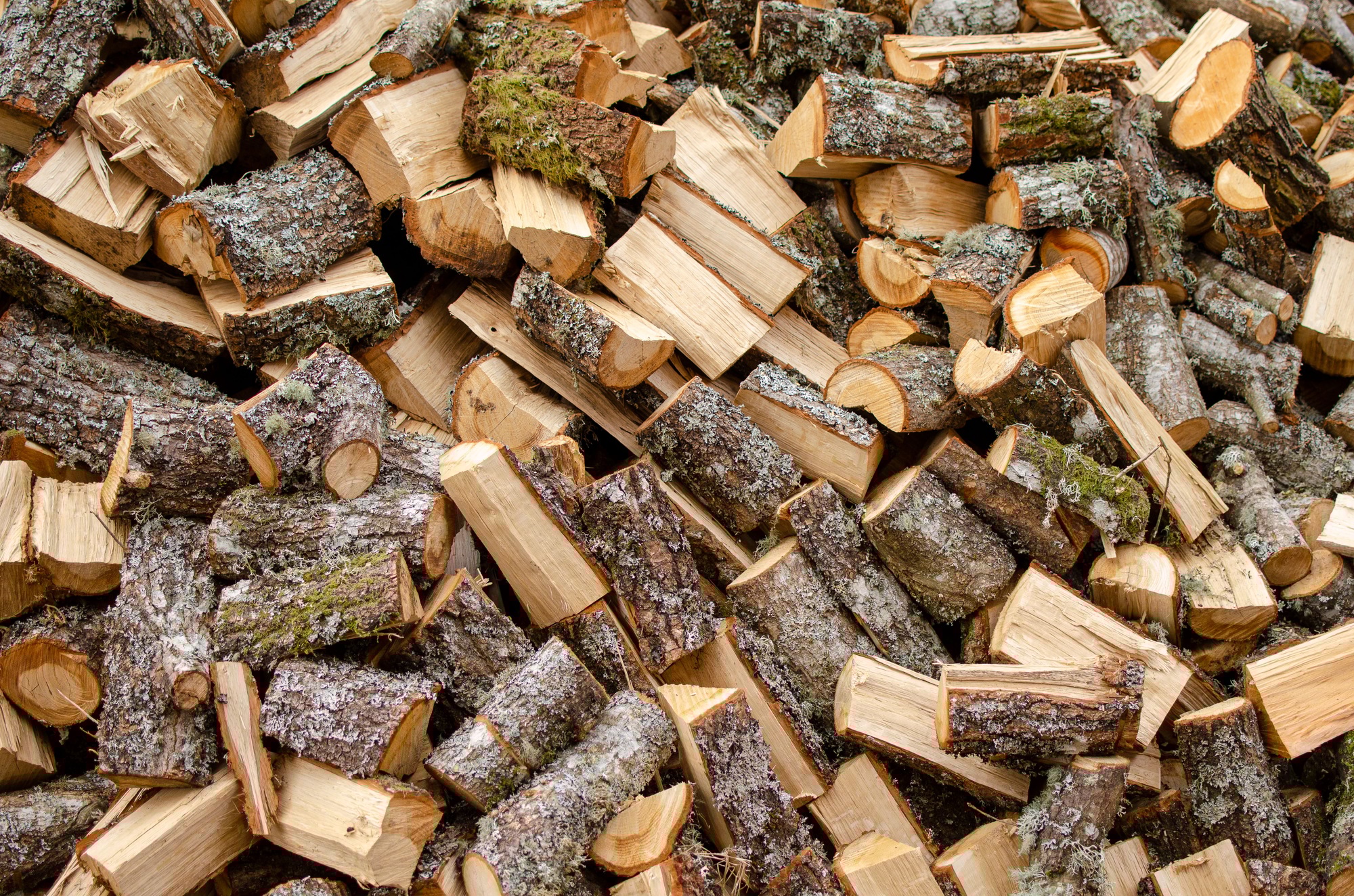 AGRIFORESTAL (1) AGRIFORESTAL (1)